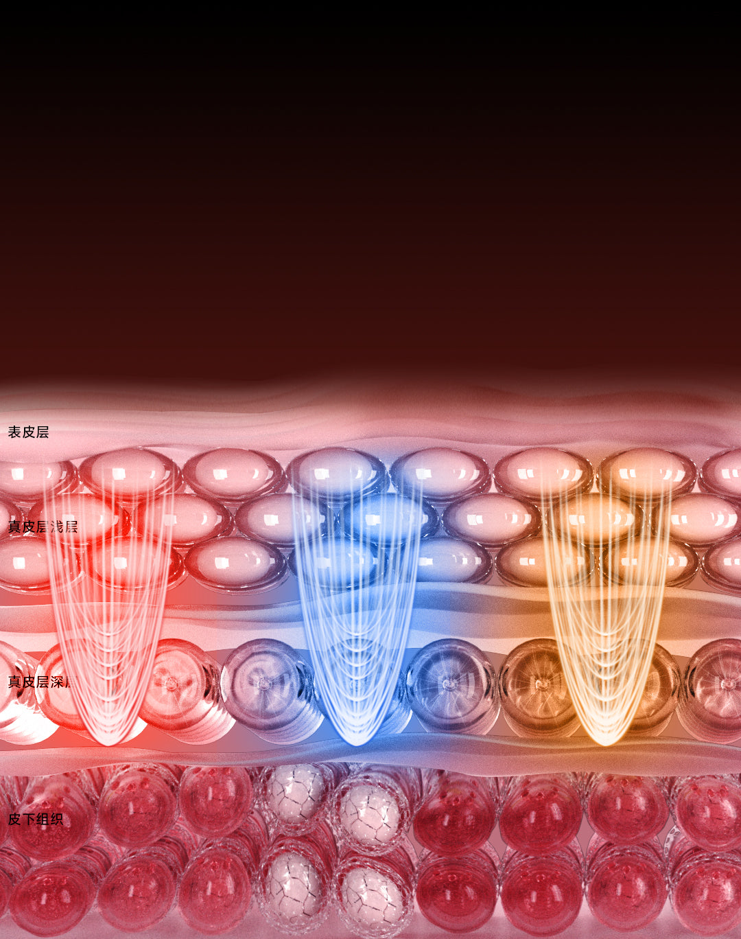 DOCO LAB Super Time Collagen Cannon Beauty Device